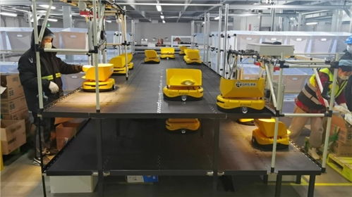 備戰618 機器人先上陣，鏢普、小黃人、RaaS技術助力高效柔性自動化分揀